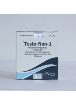 Testo-Non-1