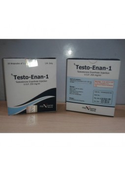 Testo-Enan amp