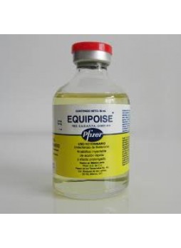 Equipoise