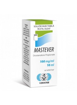 Mastever